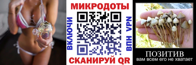 нарко площадка официальный сайт Агрыз Псилоцибиновые грибы мицелий